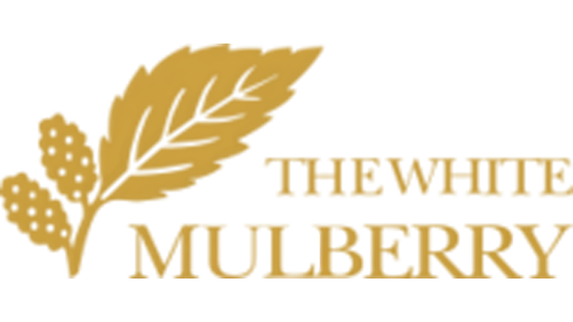 The White Mulberry
